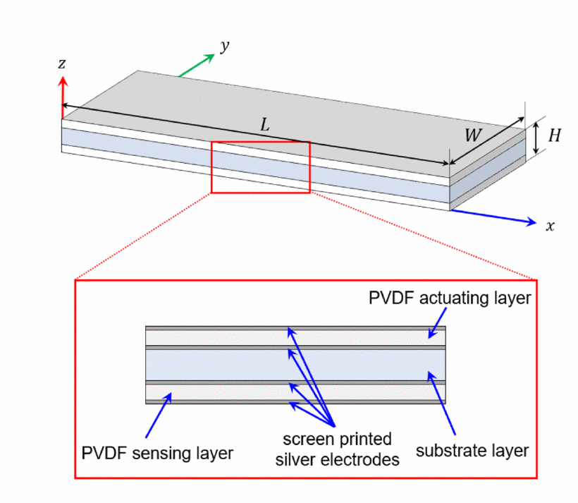 image info